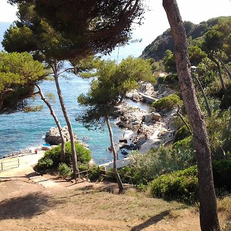 Apartamento Sol- Fanals Leilighet Lloret de Mar Eksteriør bilde