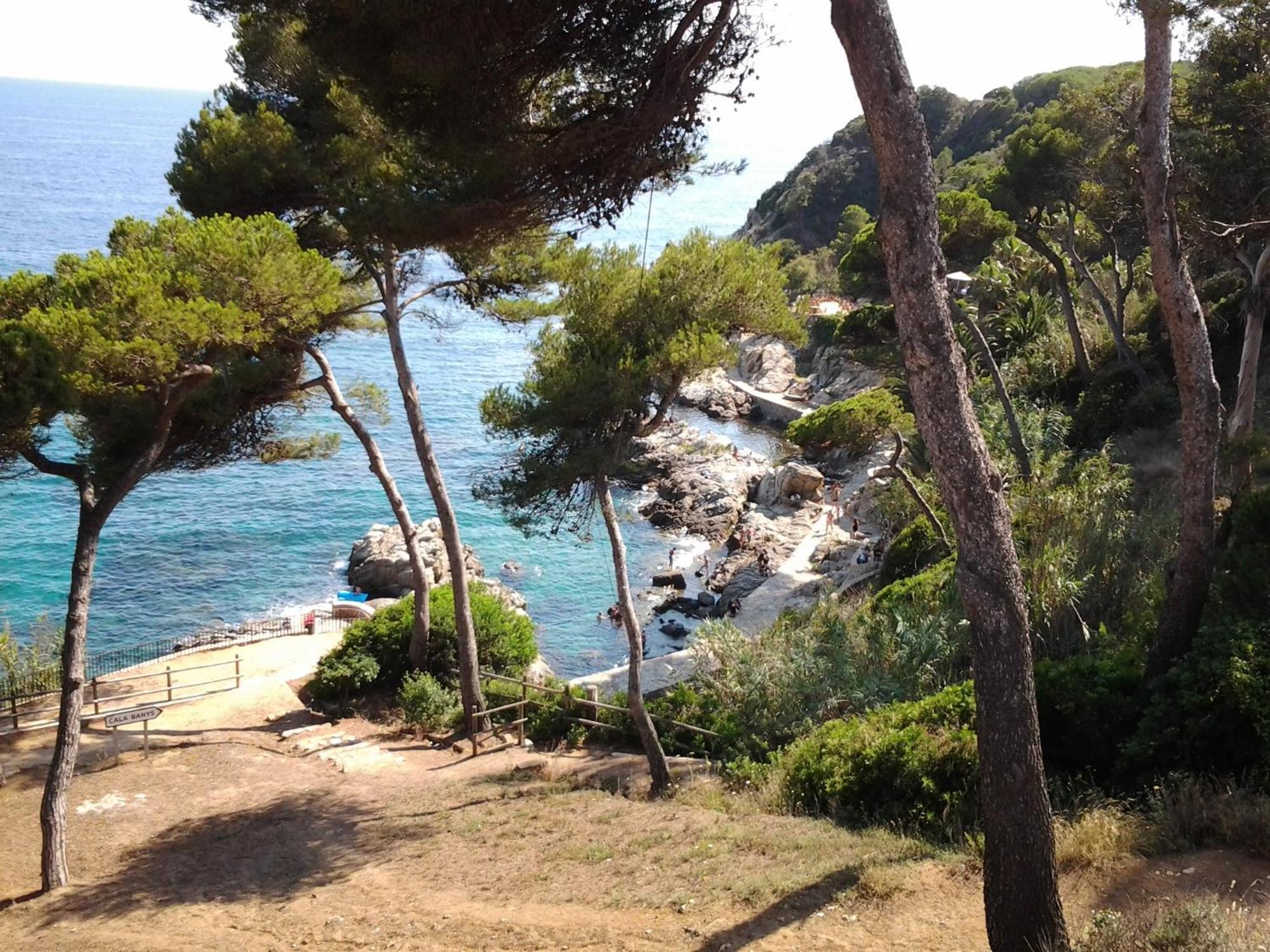 Apartamento Sol- Fanals Leilighet Lloret de Mar Eksteriør bilde