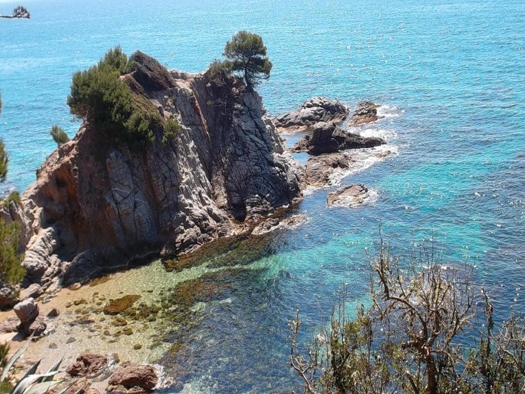 Apartamento Sol- Fanals Leilighet Lloret de Mar Eksteriør bilde